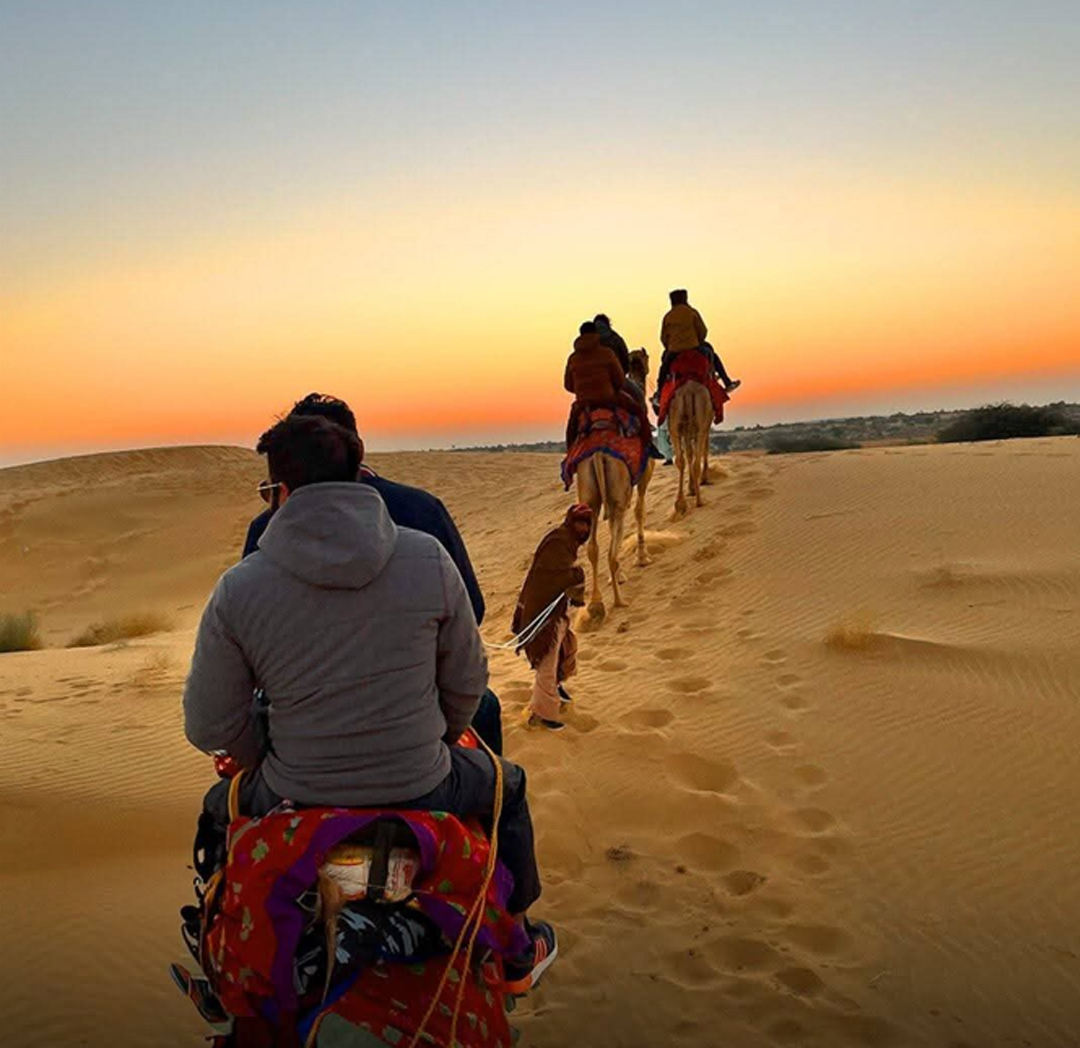 Camel Safari