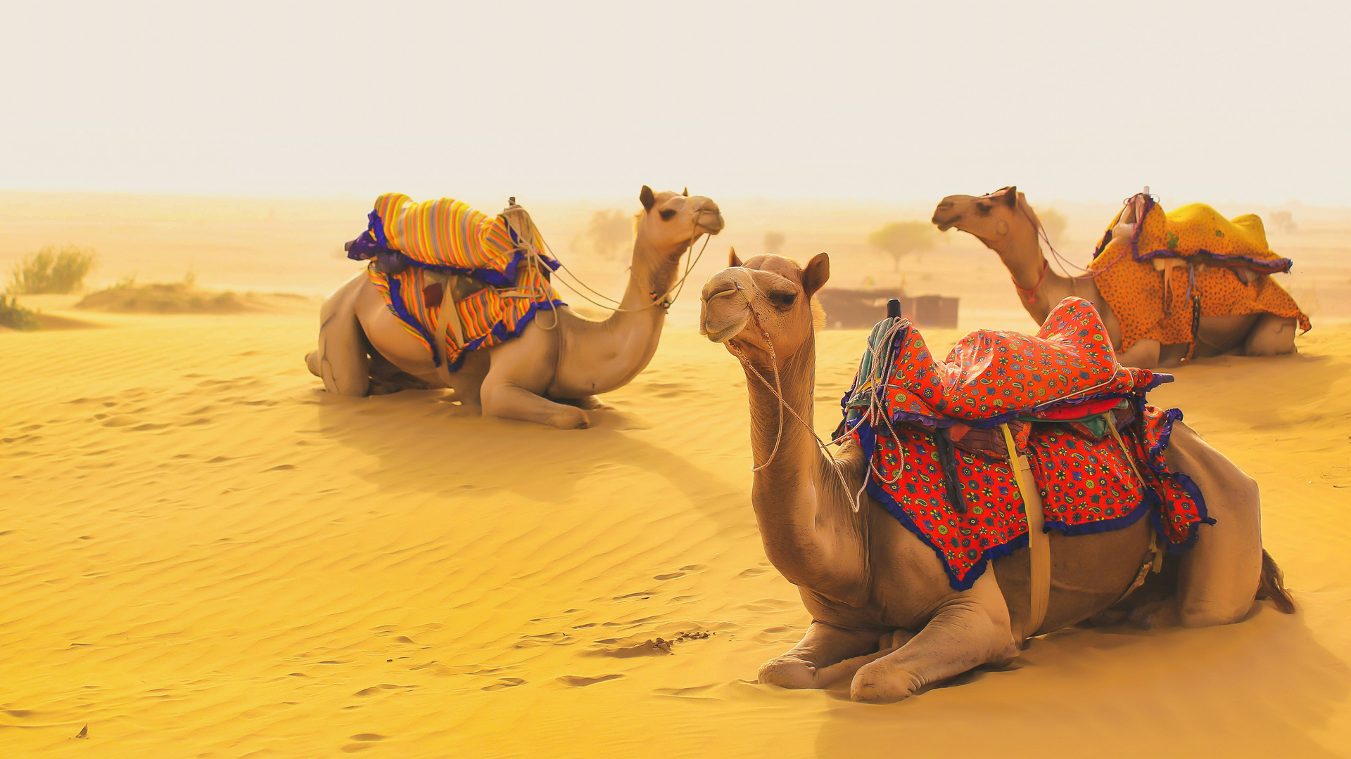 Jaisalmer Fort